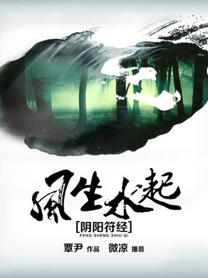 cover image of 风生水起之阴阳符经